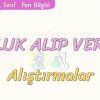 SOLUK ALIP VERME-ALIŞTIRMALAR