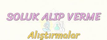 SOLUK ALIP VERME-ALIŞTIRMALAR