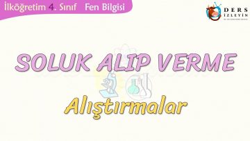 SOLUK ALIP VERME-ALIŞTIRMALAR