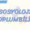SOSYOLOJİ