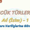 SÖZCÜK TÜRLERİ  – 1 / AD – 1