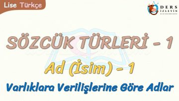 SÖZCÜK TÜRLERİ  – 1 / AD – 1