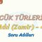 SÖZCÜK TÜRLERİ – 11 / ADIL – 4