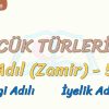 SÖZCÜK TÜRLERİ – 12 / ADIL – 5