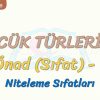 SÖZCÜK TÜRLERİ – 13 / ÖNAD – 1