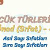 SÖZCÜK TÜRLERİ – 16 / ÖNAD – 4