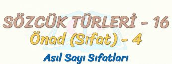 SÖZCÜK TÜRLERİ – 16 / ÖNAD – 4