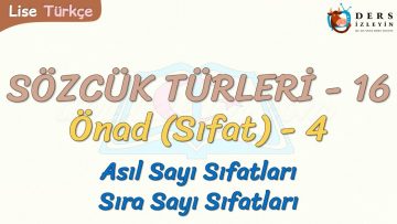 SÖZCÜK TÜRLERİ – 16 / ÖNAD – 4