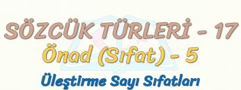 SÖZCÜK TÜRLERİ – 17 / ÖNAD – 5