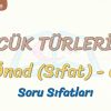 SÖZCÜK TÜRLERİ – 18 / ÖNAD – 6
