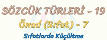 SÖZCÜK TÜRLERİ – 19 / ÖNAD – 7