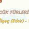 SÖZCÜK TÜRLERİ – 27 / İLGEÇ -1