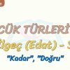 SÖZCÜK TÜRLERİ – 29 / İLGEÇ – 3