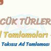 SÖZCÜK TÜRLERİ – 3 / AD TAMLAMALARI – 1