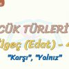 SÖZCÜK TÜRLERİ – 30 / İLGEÇ – 4