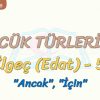 SÖZCÜK TÜRLERİ – 31 / İLGEÇ – 5