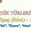 SÖZCÜK TÜRLERİ – 33 / İLGEÇ – 7