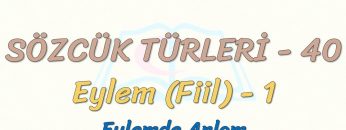 SÖZCÜK TÜRLERİ – 40 / EYLEM – 1
