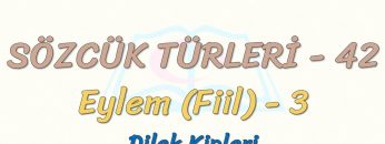 SÖZCÜK TÜRLERİ – 42 / EYLEM – 3
