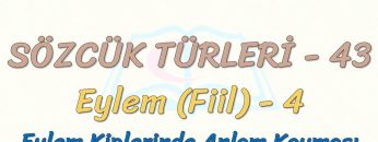 SÖZCÜK TÜRLERİ – 43 / EYLEM – 4