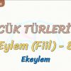 SÖZCÜK TÜRLERİ – 47 / EYLEM – 8