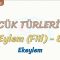 SÖZCÜK TÜRLERİ – 47 / EYLEM – 8