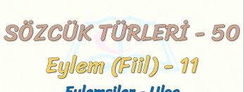 SÖZCÜK TÜRLERİ – 50 / EYLEM – 11