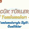 SÖZCÜK TÜRLERİ – 6 / AD TAMLAMALARI – 4