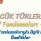 SÖZCÜK TÜRLERİ – 6 / AD TAMLAMALARI – 4