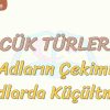 SÖZCÜK TÜRLERİ – 7 / ADLARIN ÇEKİMİ – ADLARDA KÜÇÜLME