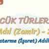 SÖZCÜK TÜRLERİ – 9 / ADIL – 2