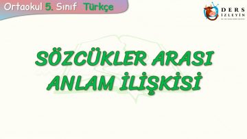 SÖZCÜKLER ARASI ANLAM İLİŞKİSİ