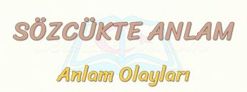 SÖZCÜKTE ANLAM / ANLAM OLAYLARI