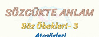 SÖZCÜKTE ANLAM / ATASÖZLERİ