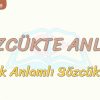 SÖZCÜKTE ANLAM / ÇOK ANLAMLI SÖZCÜKLER