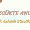 SÖZCÜKTE ANLAM / ÇOK ANLAMLI SÖZCÜKLER