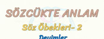 SÖZCÜKTE ANLAM / DEYİMLER