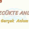 SÖZCÜKTE ANLAM / GERÇEK ANLAM