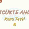 SÖZCÜKTE ANLAM / KONU TESTİ – 8