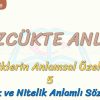 SÖZCÜKTE ANLAM / NİTELİK VE NİCELİK ANLAMLI SÖZCÜKLER