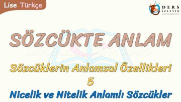 SÖZCÜKTE ANLAM / NİTELİK VE NİCELİK ANLAMLI SÖZCÜKLER