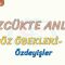 SÖZCÜKTE ANLAM / ÖZDEYİŞLER