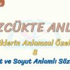 SÖZCÜKTE ANLAM / SOMUT VE SOYUT ANLAMLI SÖZCÜKLER