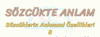 SÖZCÜKTE ANLAM / SOMUT VE SOYUT ANLAMLI SÖZCÜKLER
