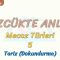 SÖZCÜKTE ANLAM / TARİZ (DOKUNDURMA)