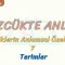 SÖZCÜKTE ANLAM / TERİMLER
