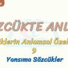 SÖZCÜKTE ANLAM / YANSIMA SÖZCÜKLER