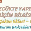 SÖZCÜKTE YAPI – 1 / ÇEKİM EKLERİ – 1