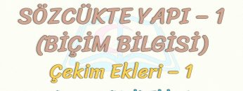 SÖZCÜKTE YAPI – 1 / ÇEKİM EKLERİ – 1