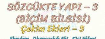 SÖZCÜKTE YAPI – 3 / ÇEKİM EKLERİ – 3